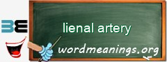 WordMeaning blackboard for lienal artery
